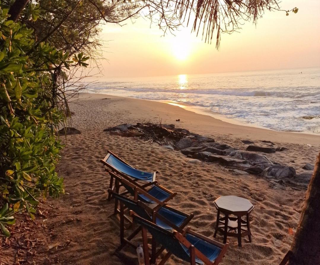 טנגלה Panorama Beach Hotel מראה חיצוני תמונה